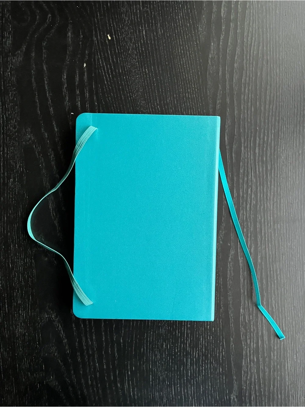 PAPERAGE Teal Datadog Journal Lined Notebook Pocket Stickers Ribbon Bookmark